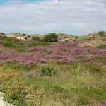 Casa de Férias Vakantiebungalow In Riviera Maison Stijl Nabij Zee En Strand, Bos En Duin *