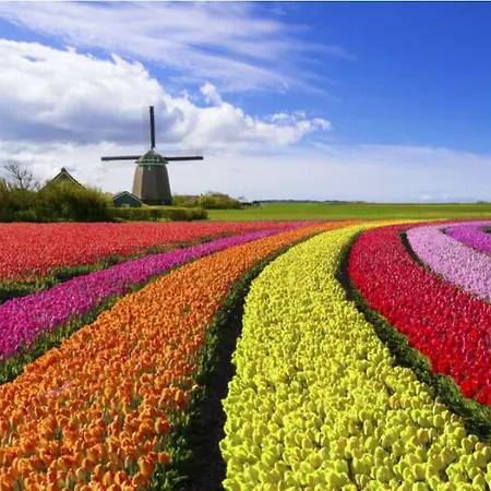 Vakantiebungalow In Riviera Maison Stijl Nabij Zee En Strand, Bos En Duin *