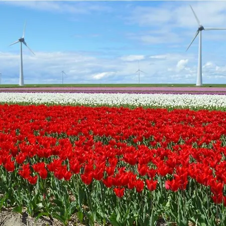 Vakantiebungalow In Riviera Maison Stijl Nabij Zee En Strand, Bos En Duin *