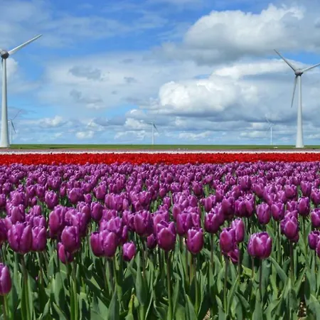 Vakantiebungalow In Riviera Maison Stijl Nabij Zee En Strand, Bos En Duin *