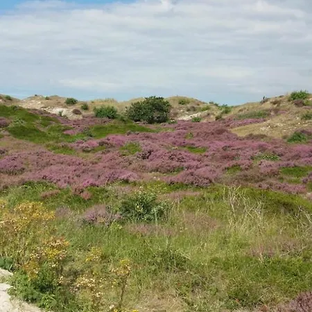 別荘 Vakantiebungalow In Riviera Maison Stijl Nabij Zee En Strand, Bos En Duin *