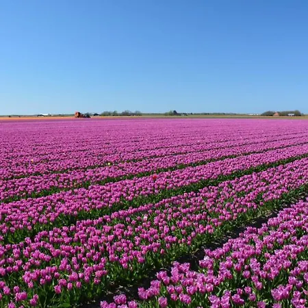 Vakantiebungalow In Riviera Maison Stijl Nabij Zee En Strand, Bos En Duin Holiday home *