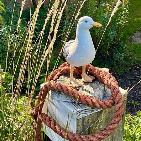 Vakantiebungalow In Riviera Maison Stijl Nabij Zee En Strand, Bos En Duin Ferienhaus *